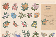 Unique Botanic Collection, a Technology Illustration by Julia Dreams (Thumbnail 3 of 10)
