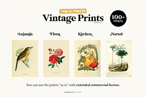 Vintage Prints Poster Bundle 100