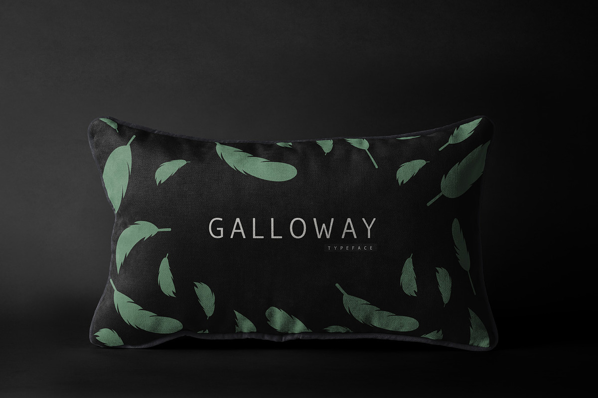 Galloway - Modern Typeface V2.0 preview 8