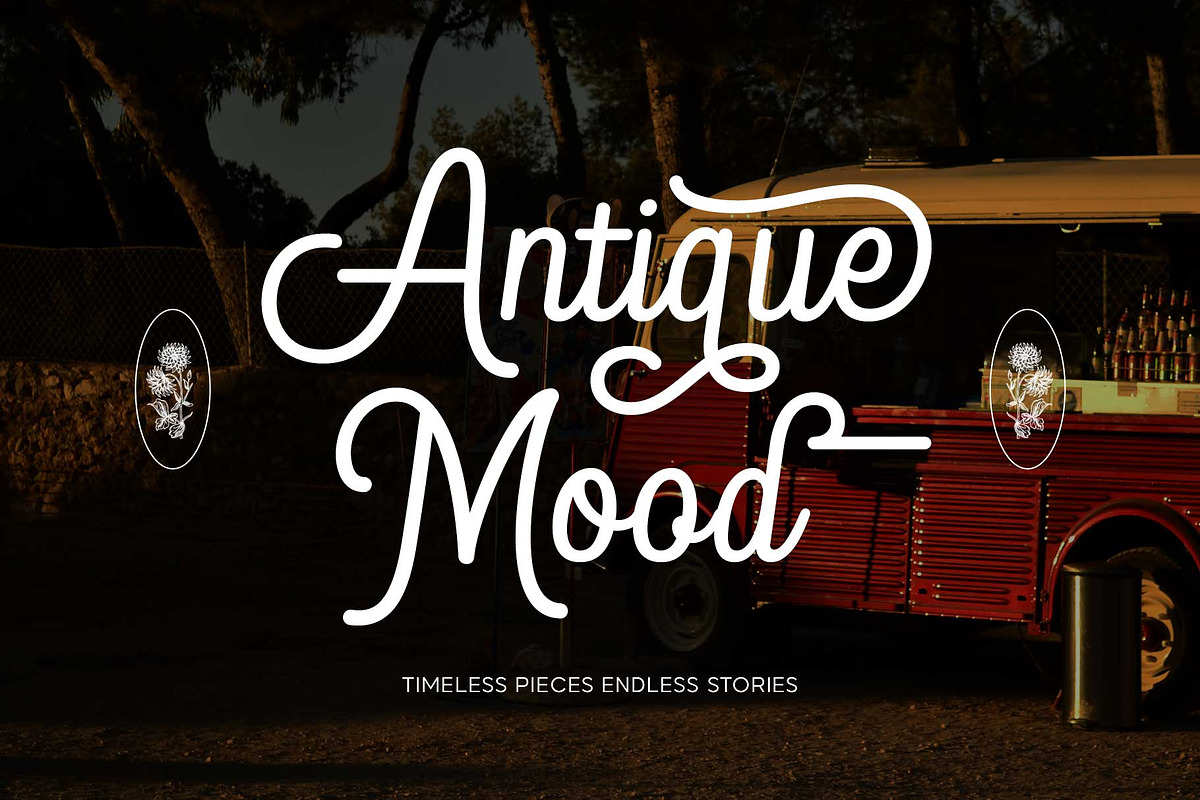 Blandony - Modern Vintage Monoline, a Script Font by Novitype (Photo 2 of 12)