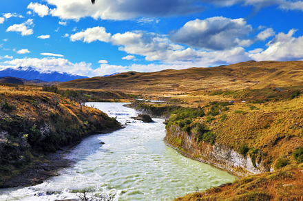 Huge Andean condors flying over water, a Nature Photo by kavram