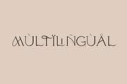 Modern ligature-rich font, a Serif Font by elvinova (Thumbnail 11 of 18)