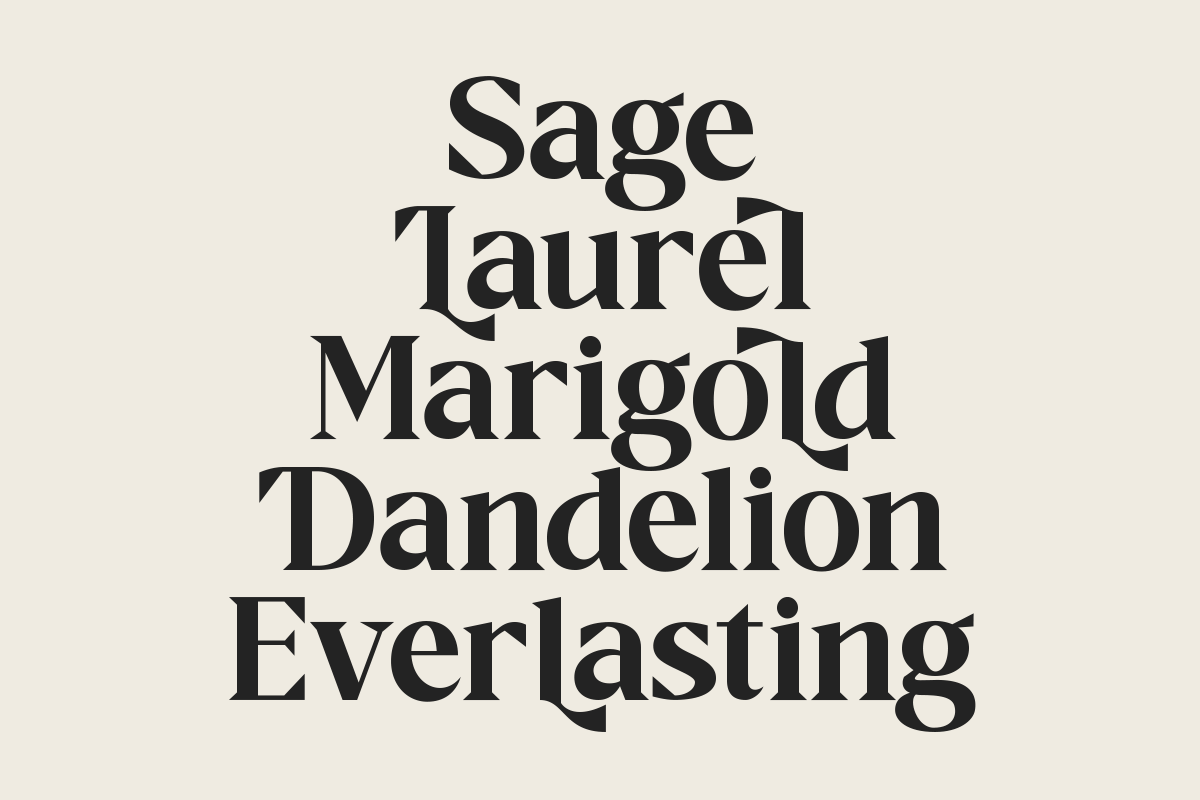 Raphen Madam - Classic Elegant Serif, a Serif Font by Pandeka Studio (Photo 7 of 12)