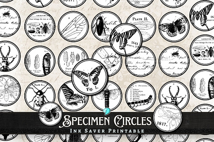 Specimen Circles Ink Saver Printable, an Object Graphic by Emily Designs