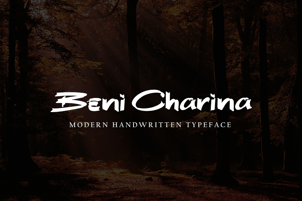 Bheni Euthentic, a Script Font by pineungtype (Photo 6 of 7)