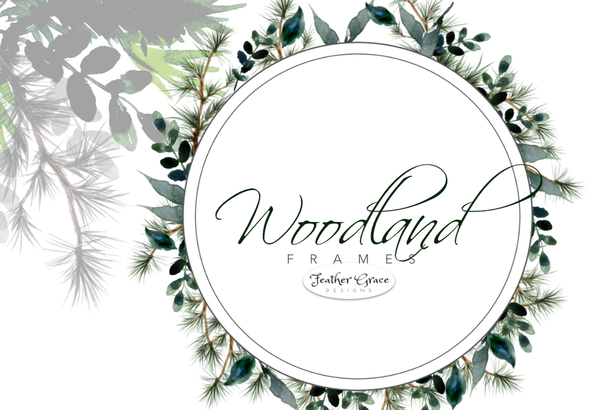 Watercolor Leaves & Greenery, an Illustration by Feather Grace Designs (Photo 3 of 12)