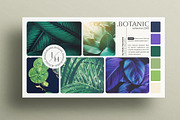 Botanic Mood Board Presentation, a Presentation Template by E-Type (Thumbnail 2 of 2)
