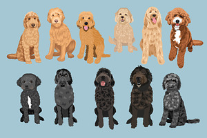 Doodle Vector Bundle Poodle Mix 3