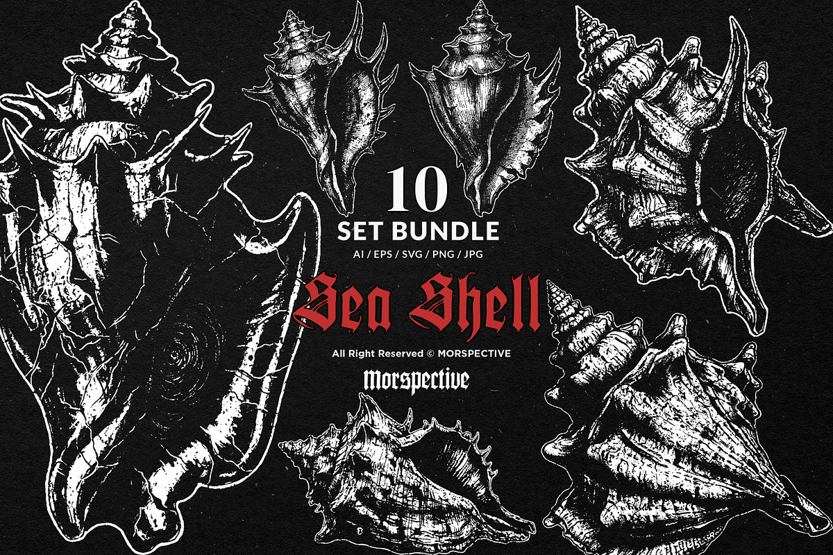 10 Bundle Dark Art Sea Shell Ocean, an Illustration by Morspective (Photo 1 of 7)