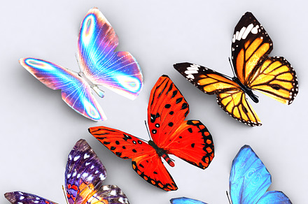 3DRT -Birds and critters - Butterfly, an Animal 3D Model by 3DRT.com