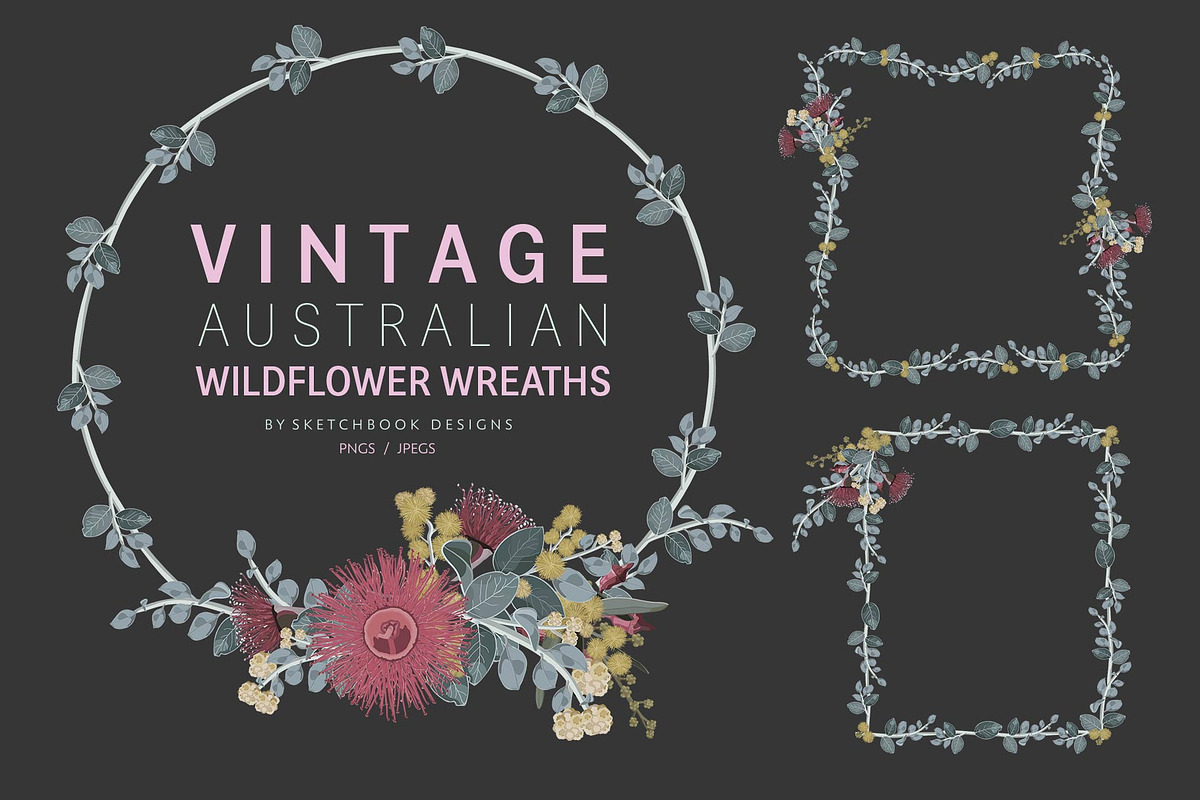 VINTAGE AUSTRALIAN WILDFLOWER SET, an Illustration by Sketchbook Designs (Photo 2 of 12)