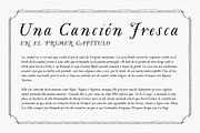 Woolen, a Serif Font by Magpie Paper Works (Thumbnail 5 of 5)