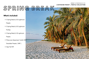 Spring Break Mobile Lightroom Preset, an Action Add-On by Filtercrave (Thumbnail 9 of 14)
