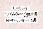 Hartfordshire, a farmhouse font, a Script Font by Rachel White Art (Thumbnail 3 of 14)