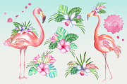 Pink flamingo set, an Illustration by artdreamer (Thumbnail 3 of 6)