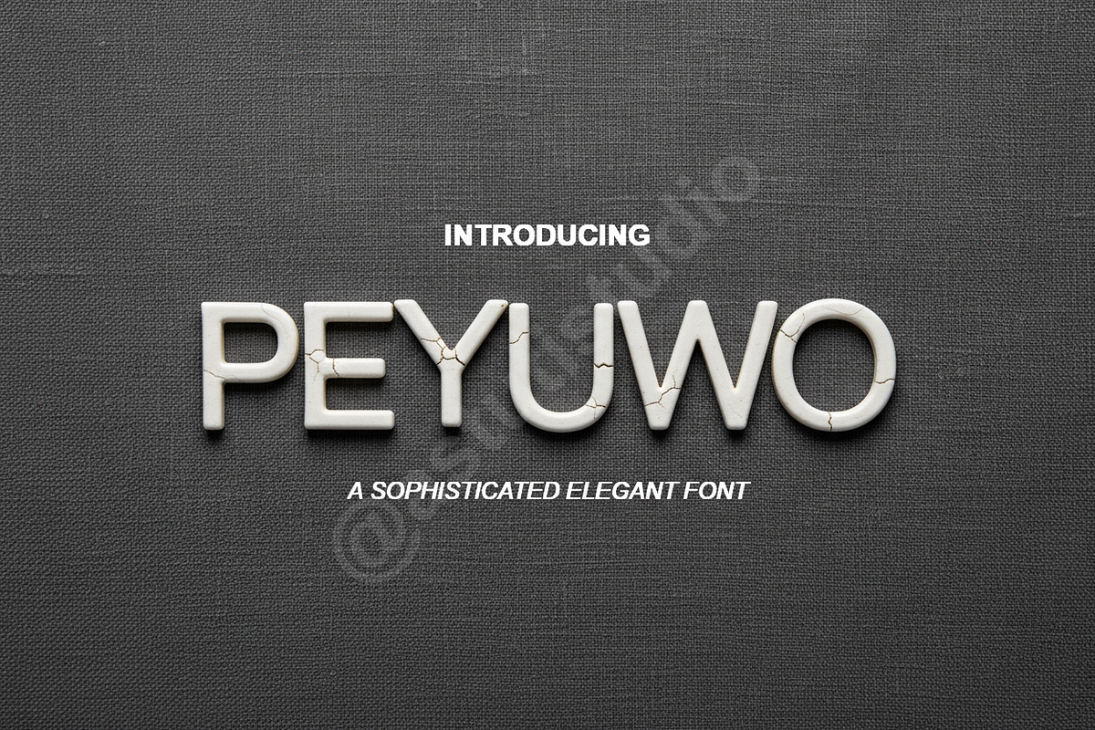 Peyuwo - Elegant & Sophisticated Ser, a Font by Astuti Studio (Photo 1 of 16)