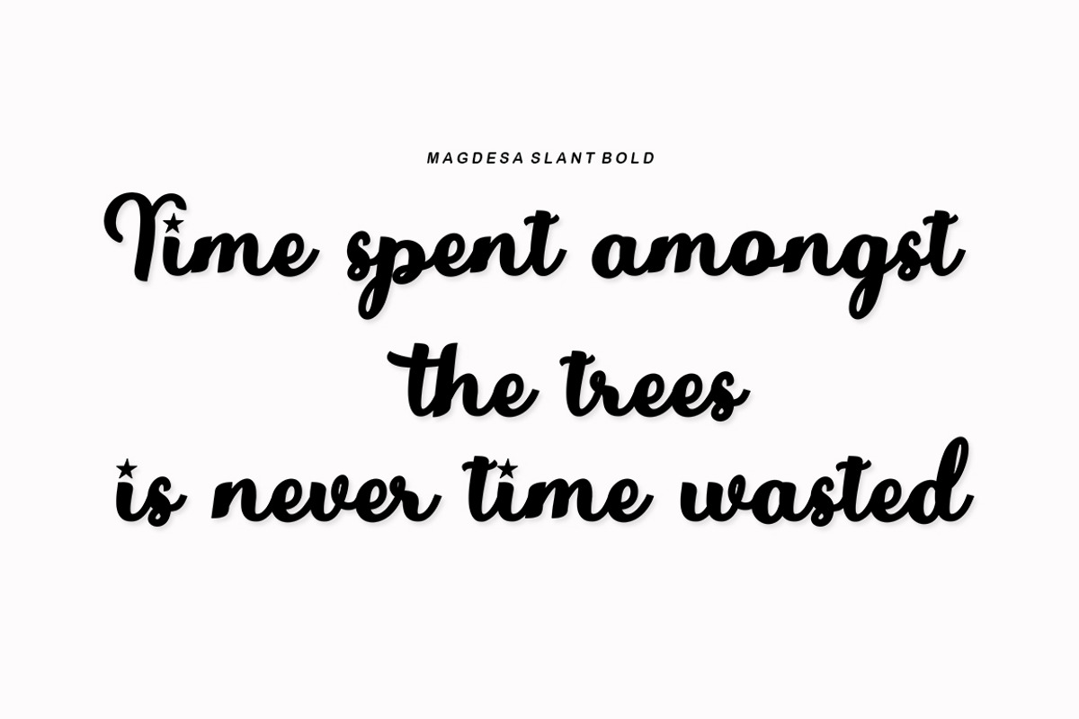 Magdesa Script, a Script Font by Bosstype Studio (Photo 7 of 8)