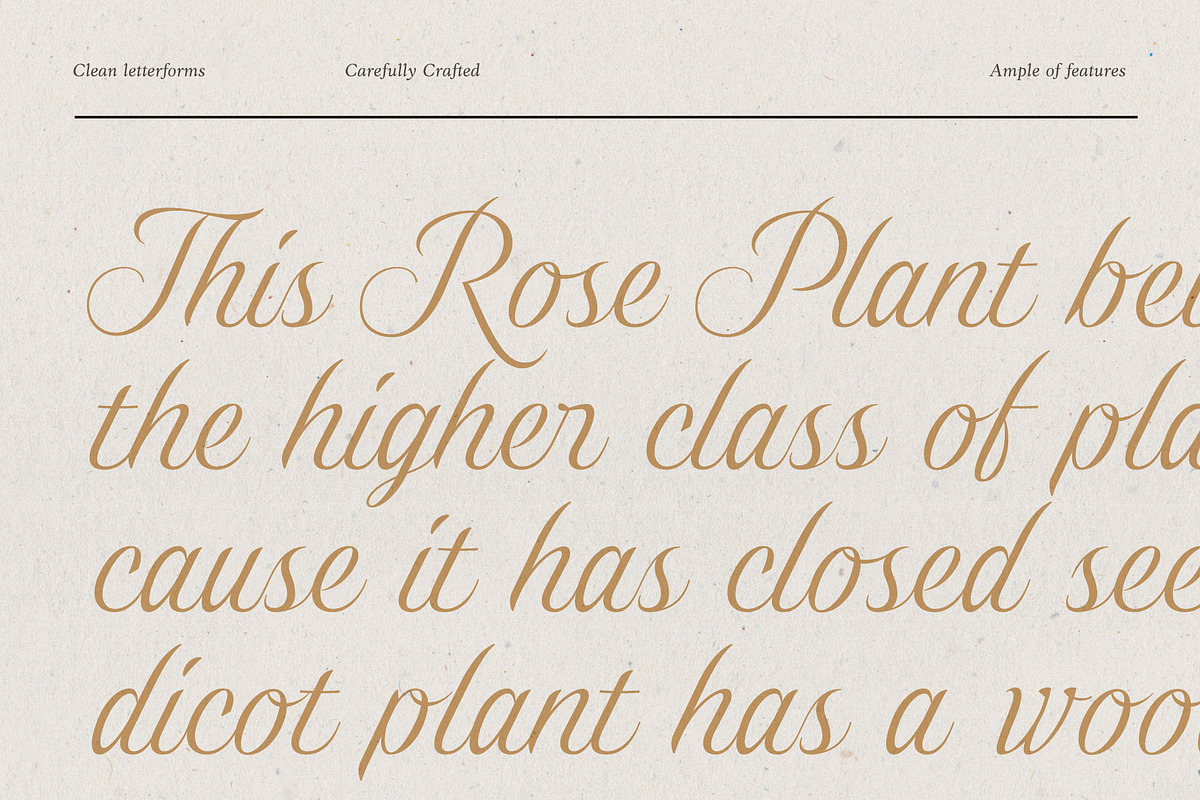 Gold Lines; Elegant Font Duo, a Script Font by Eko Bimantara (Photo 6 of 20)