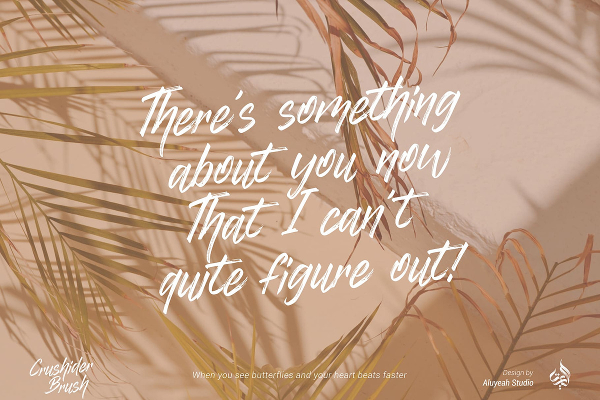 Crushider Brush, a Script Font by Aluyeah Studio (Photo 5 of 14)