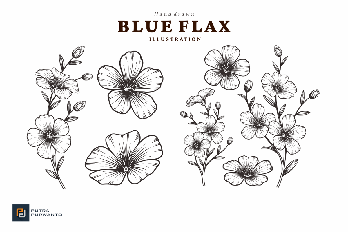 Blue Flax Flower Hand Drawn Illustra, an Object Graphic by putra_purwanto (Photo 2 of 2)