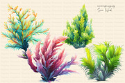 Colorful Watercolor Sea Turtles, an Illustration by Dazzling Art Boutique (Thumbnail 3 of 9)