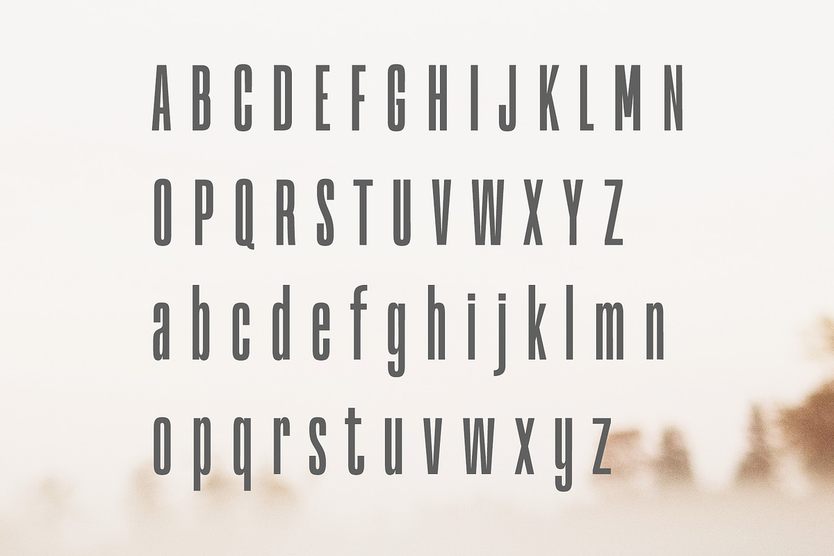 Yafeu Sans Serif Font Family preview 2
