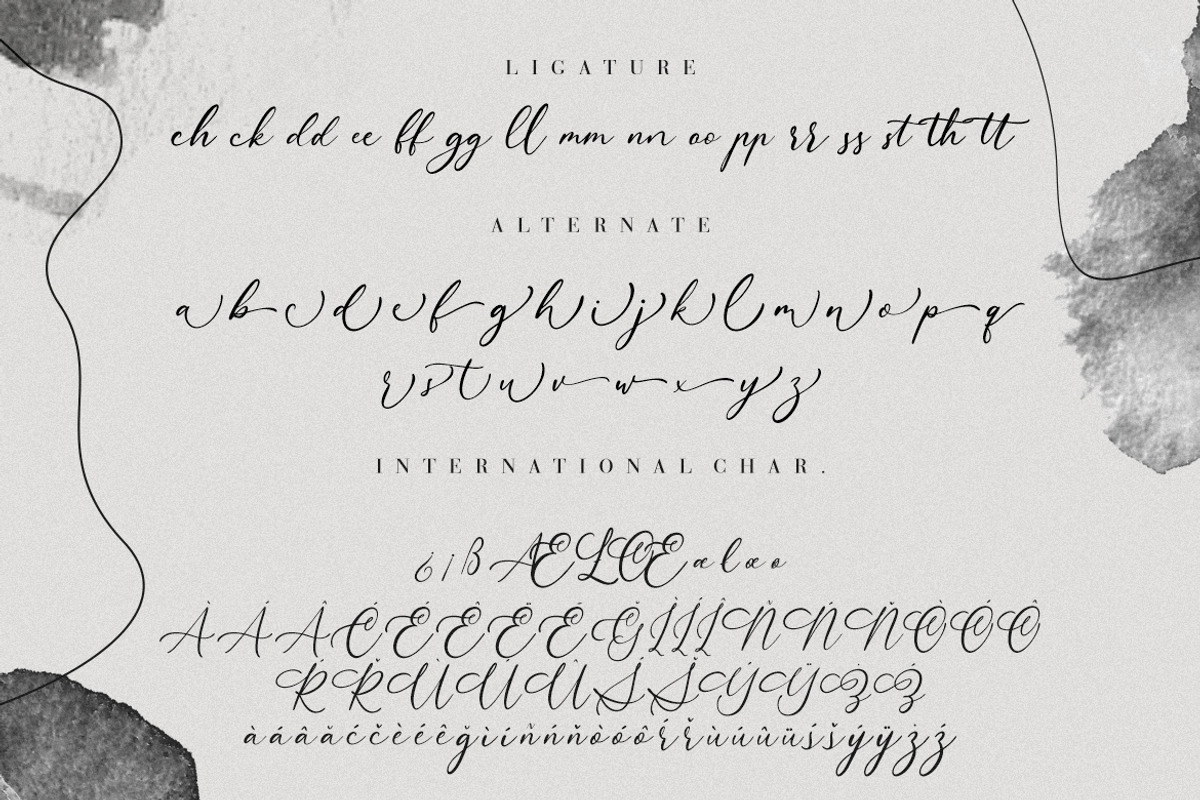 Aurelye Modern Calligraphy, a Script Font by Creatype Studio (Photo 9 of 9)