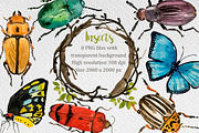 Bugs and butterflies watercolor set, a Decorative Illustration by Bychovsky design (Thumbnail 1 of 3)