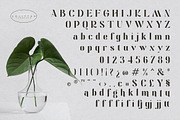 Solitten | Elegant Typeface, a Serif Font by Almeera Std (Thumbnail 4 of 10)