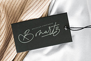 Antique Prestig Stylish Signature, a Script Font by stylishtype.co (Thumbnail 2 of 20)