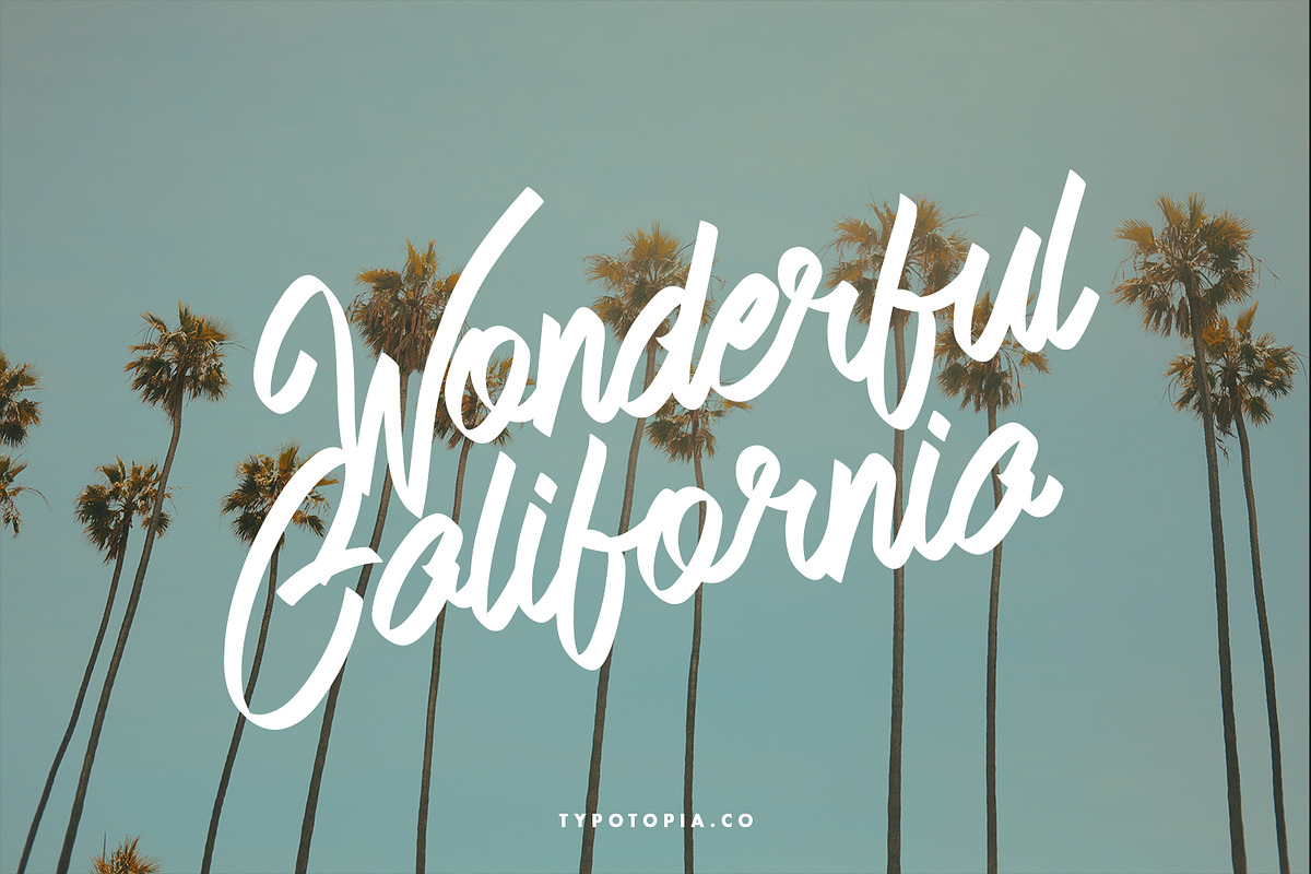 Andals Script Typeface, a Script Font by edukka (Photo 6 of 7)