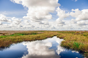 Clouds stock picture