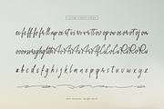 Daily Miracle | Script Handwritten, a Script Font by Denustudios (Thumbnail 11 of 12)