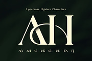 Ladya | Serif Display Font, a Serif Font by Ekahermawan (Thumbnail 12 of 15)