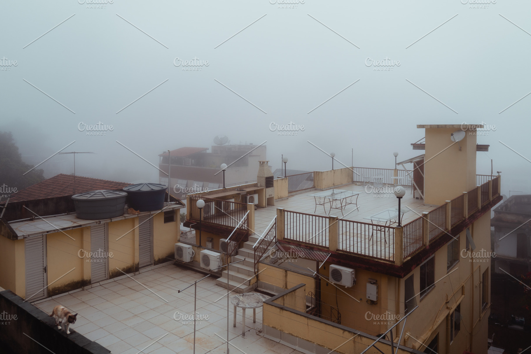 Foggy urban rooftop view, an Architecture Photo by SkyNext