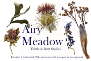 Airy Meadow – Thistle & Burr Studies, an Object Graphic by Aga Silva (Thumbnail 2 of 5)