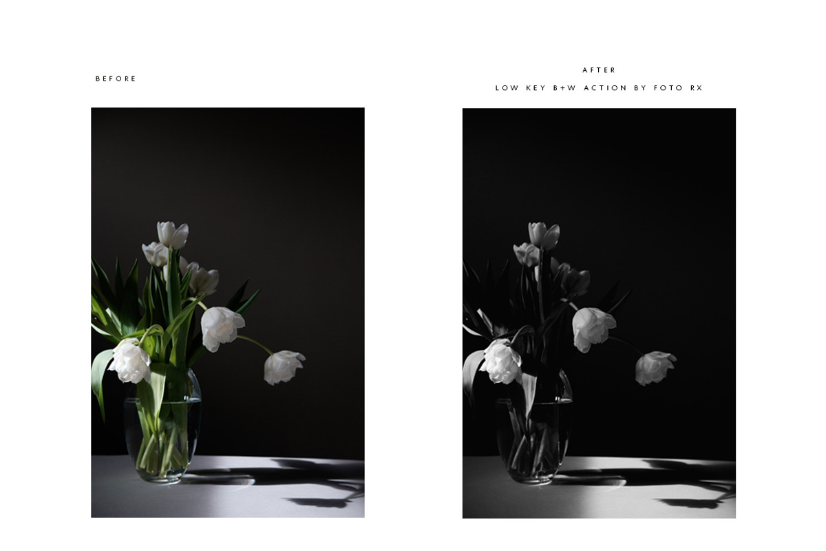 FINE ART BLACK + WHITE PS ACTIONS, an Action Add-On by Foto Rx Co. (Photo 8 of 14)
