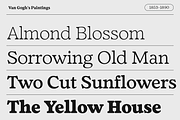 Fedro - 14 Fonts, a Serif Font by Nasir Udin (Thumbnail 2 of 20)
