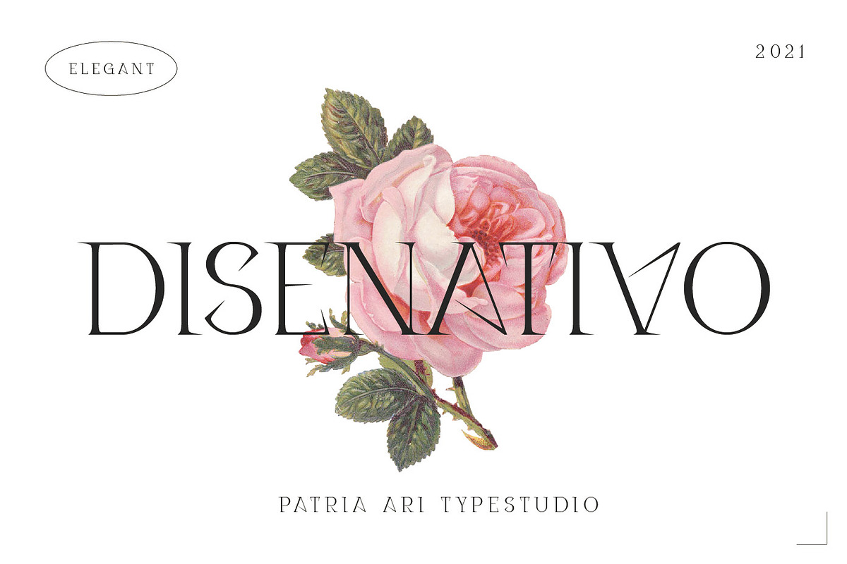 Disenativo - Sharp Display Fonts, a Sans Serif Font by Patria Ari (P4tcreativa) (Photo 1 of 10)
