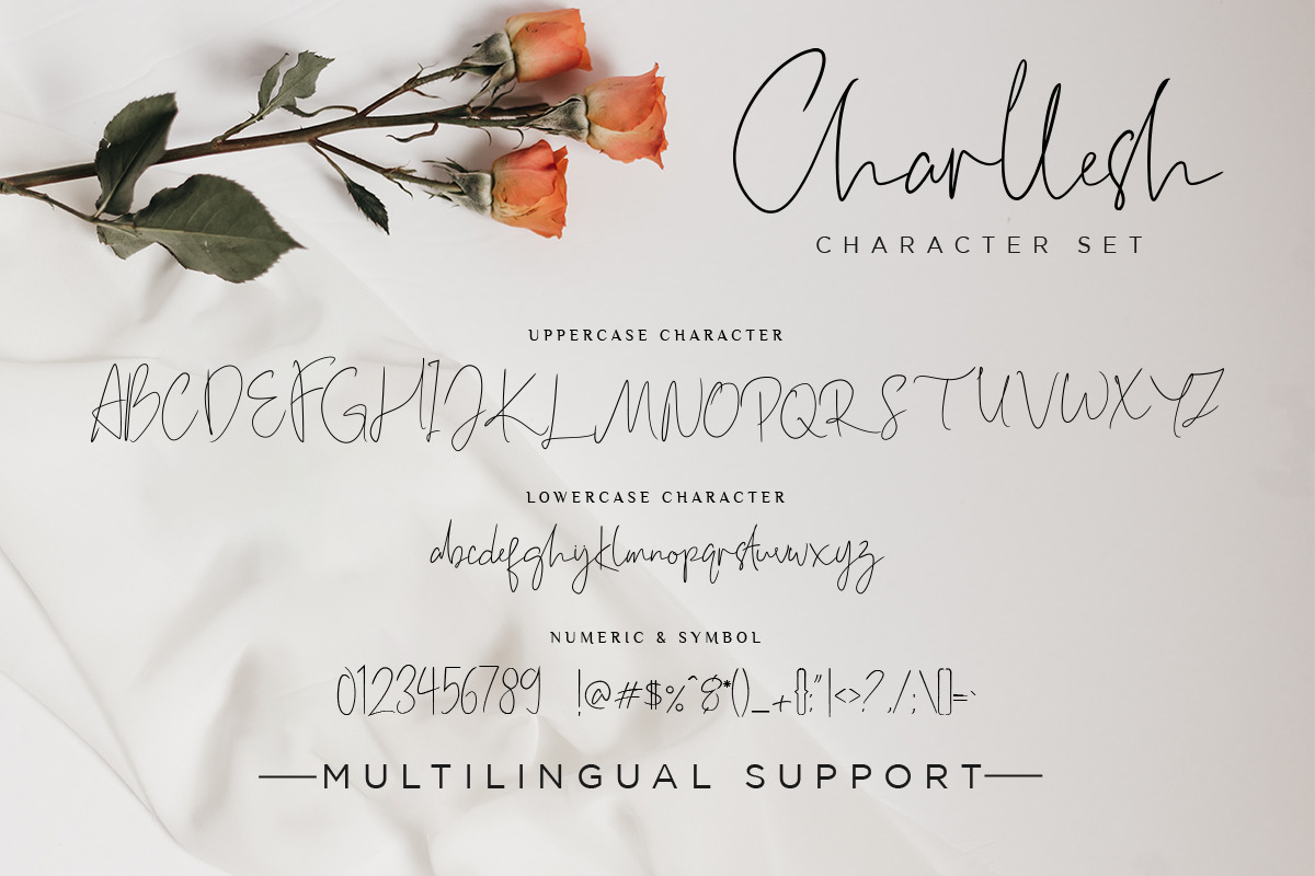 Charllesh Classy Signature Script, a Script Font by Say Studio (Photo 12 of 14)