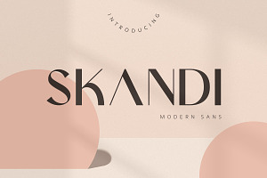 Skandi Modern Sans Serif