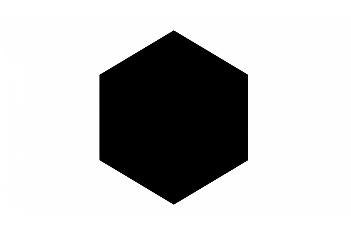 Minimal Hexagon Geometric Logo, an Icon by hafijul (Photo 10 of 10)