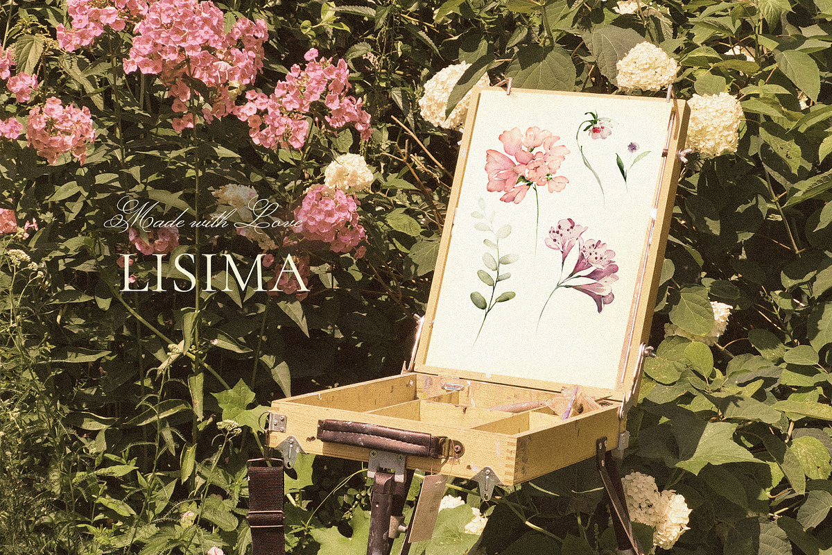 White roses & wildflowers floral set, a Decorative Illustration by Lisima (Photo 13 of 13)