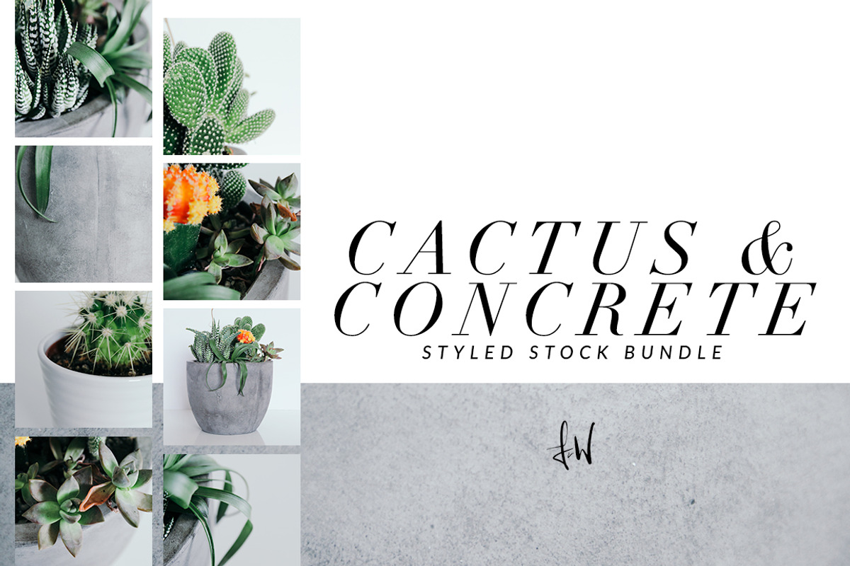 Cactus & Concrete - Styled Bundle, a Product Mockup by Mother Creative