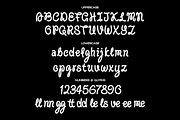 Silly Goose Script Font, a Script Font by Tom Gordon Design (Thumbnail 3 of 5)