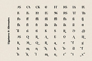 Analogue - Humanist Retro Serif, a Serif Font by Harmonais Visual (Thumbnail 13 of 29)