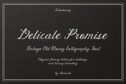 Delicate Promise | Vintage Script, a Script Font by AnMark (Thumbnail 1 of 18)