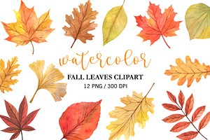 Watercolor Fall Leaves Clipart PNG, an Illustration by PatternPalette