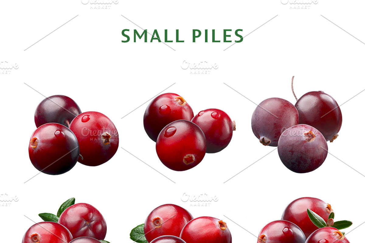 Cranberries—46 images, an Object Graphic by Hortimages (Photo 5 of 8)