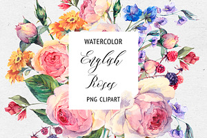 Watercolor English Roses